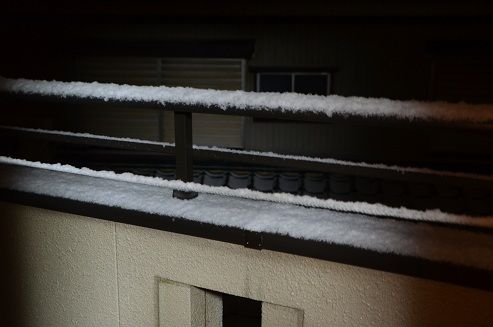DSC_83851