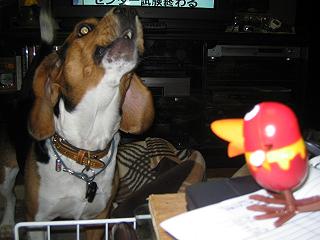 img20050117_3.jpg