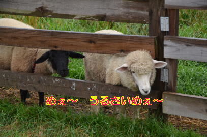 8月20日 1291