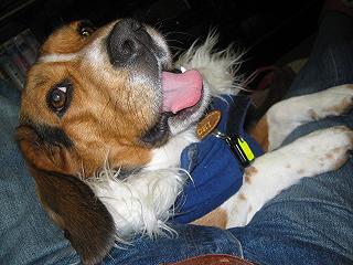 img20050115_4.jpg