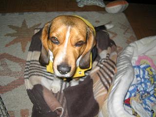img20050115_3.jpg