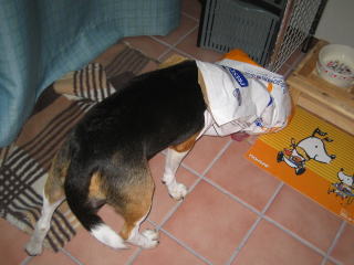 img20060827_6.jpg