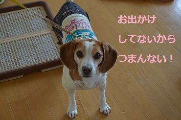 瑠唯