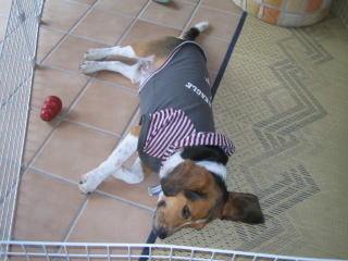img20060827.jpg