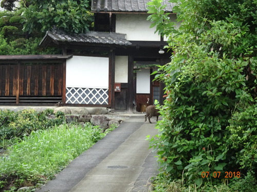DSC02560