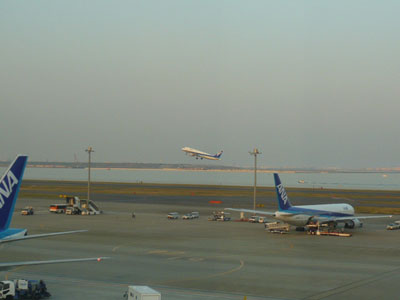 p1000964.jpg