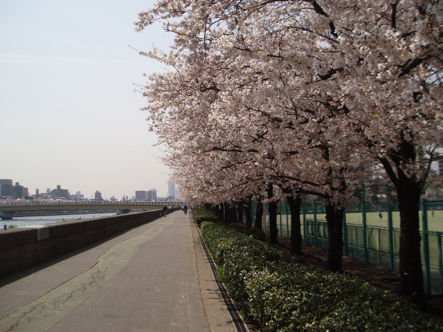 P4040039.jpg