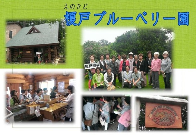 榎戸ブルーベリー園