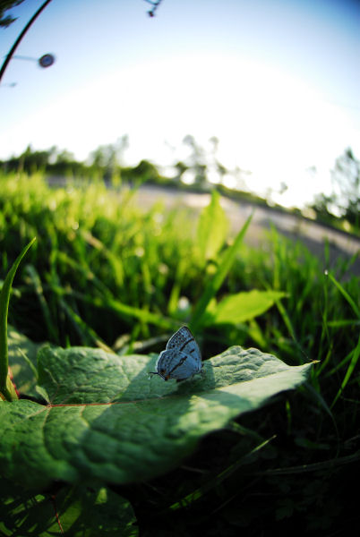 dsc_4986.jpg