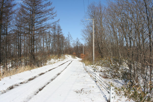 img20060327.jpg