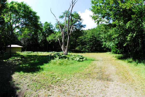 dsc_7296.jpg
