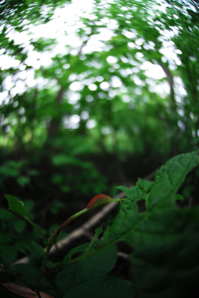 DSC_1395.jpg