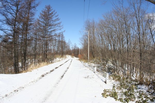 15mm.jpg