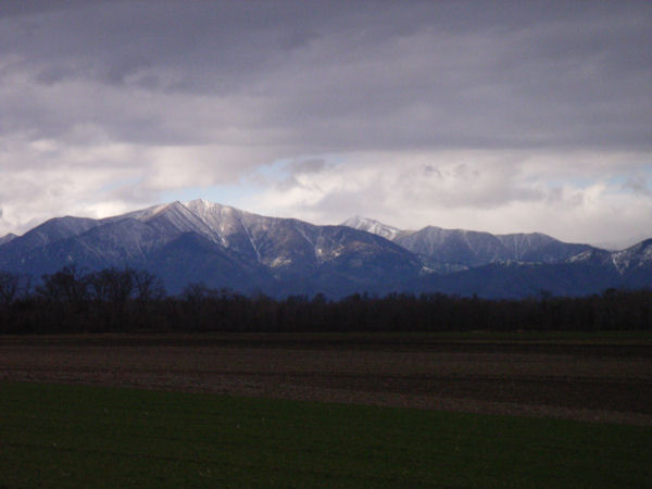 r0010121.jpg