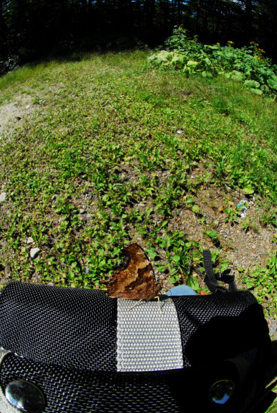dsc_7289.jpg
