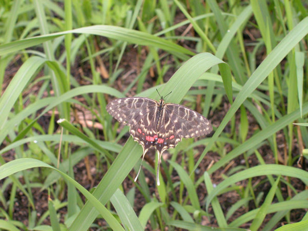 img20061117_1.jpg