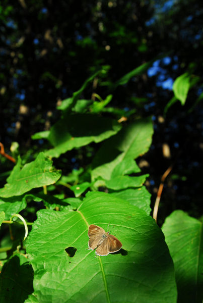 dsc_4957.jpg
