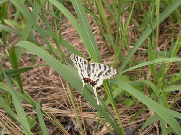 img20061117.jpg