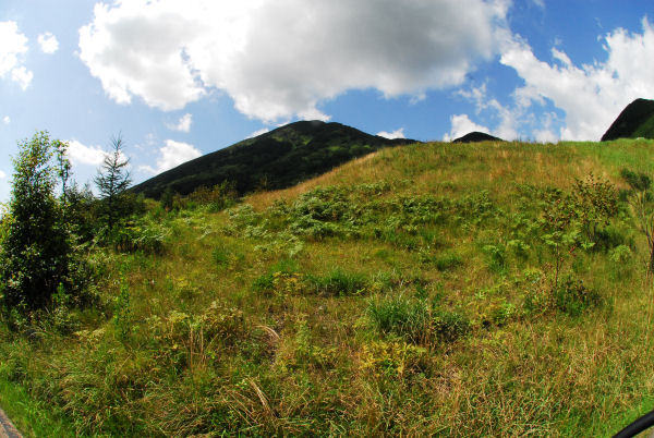 dsc_7329.jpg