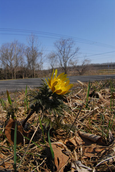 DSC_0263.jpg