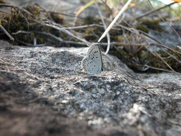 img20061031_6.jpg
