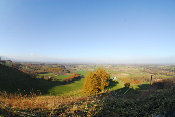 dsc_8199.jpg