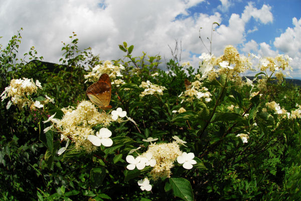 dsc_6984.jpg