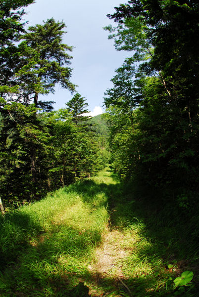 dsc_5014.jpg