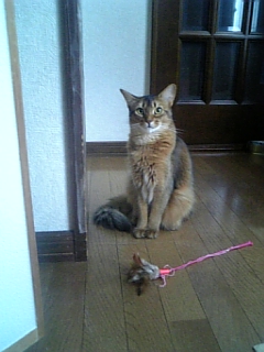 081024_094004.jpg