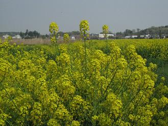 img_5218.jpg