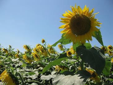 img_5569.jpg