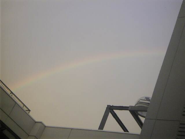 Image1131.jpg