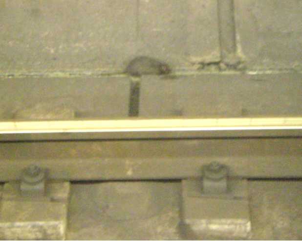 img20071129.jpg