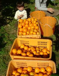 img20081124_2.jpg