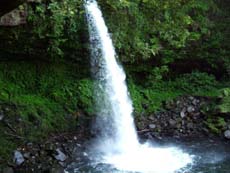 img20070829_1.jpg