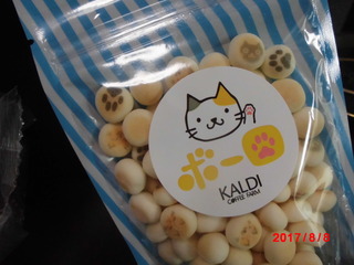 CIMG5508