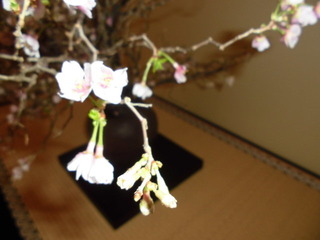 CIMG0746