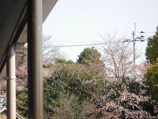 CIMG2530