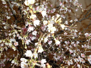 CIMG0745