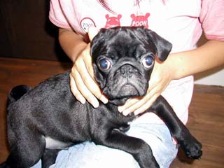 20050625.jpg