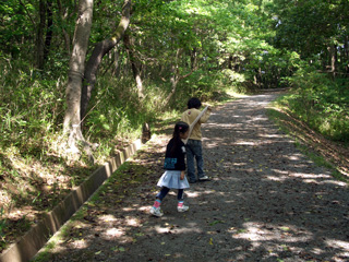 090429_2.jpg