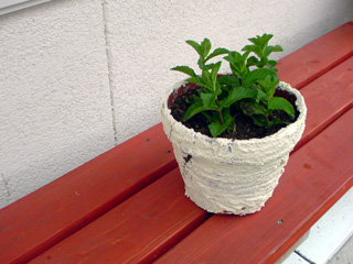 090527.jpg