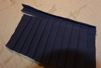 mini__DSC0516