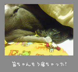 img20071015.jpg