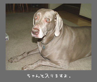 img20091015.jpg