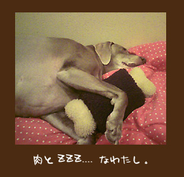 img20091126.jpg