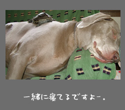 img20090917.jpg