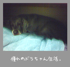 img20070829.jpg
