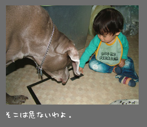 img20080928_3.jpg