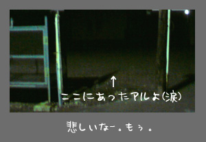 img20091004_3.jpg